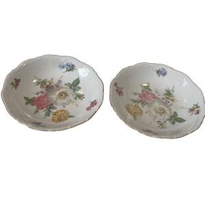 Mitterteich Bavaria Meissen Floral Germany 5” Fruit/Dessert Bowls (2) Vintage